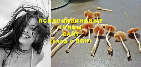 ALPHA PVP Снежинск