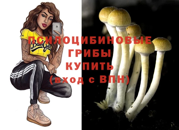 ALPHA PVP Снежинск