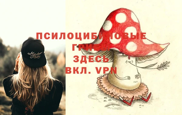 a pvp Кадников
