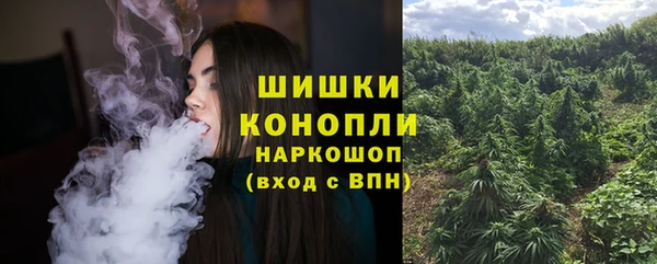 jwh Снежногорск
