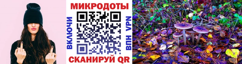Галлюциногенные грибы мухоморы Калачинск