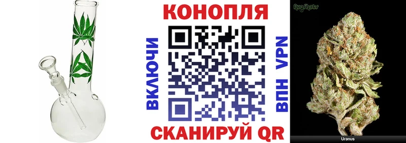Купить где  Калачинск  Бошки Шишки конопля 